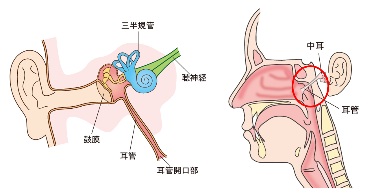 す する 癖 鼻 を 汚いけどやめられない！指を突っ込んで鼻をほじる癖を直す方法6選