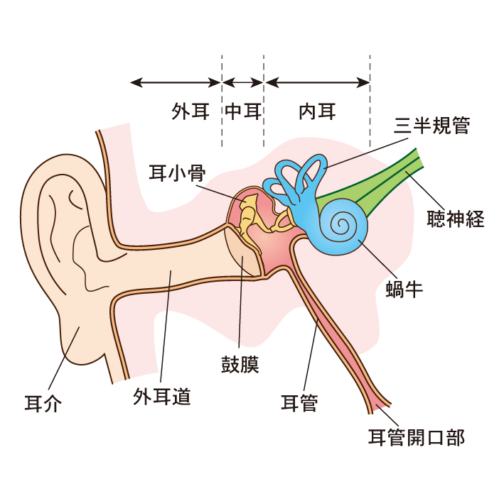 耳の病気 難聴 耳鳴り 横浜市都築区仲町台 おおた耳鼻咽喉科
